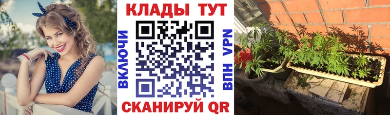 Названия наркотиков Кудрово Марихуана  APVP  ГАШИШ  АМФЕТАМИН  Меф мяу мяу 