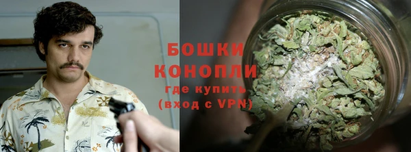 молекула духа Кулебаки