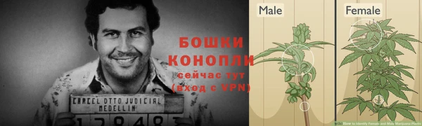 молекула духа Кулебаки