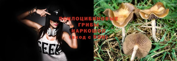 молекула духа Кулебаки