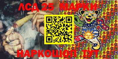 молекула духа Донецк