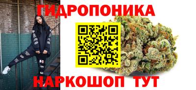 дмт Дубна