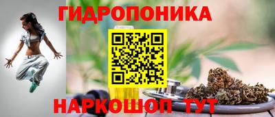 дмт Дубна