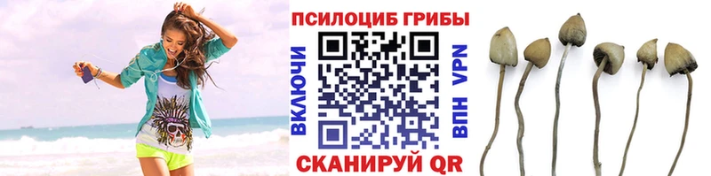 Галлюциногенные грибы Magic Shrooms  что такое   Кудрово 