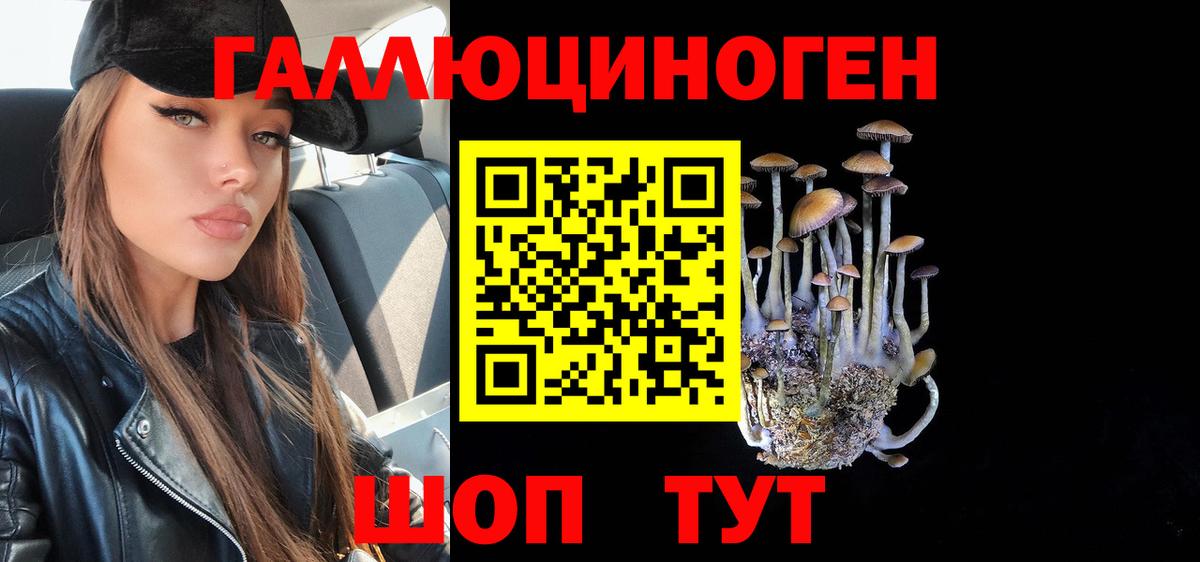Псилоцибиновые грибы GOLDEN TEACHER Кудрово