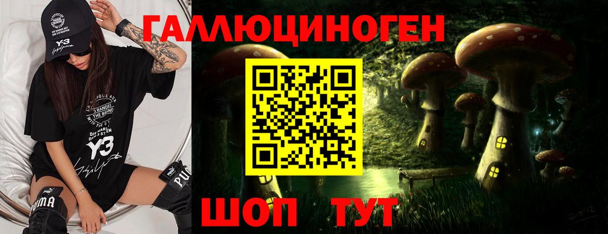 Галлюциногенные грибы Psilocybe  Псилоцибиновые грибы мицелий  Вход с VPN  Кудрово 