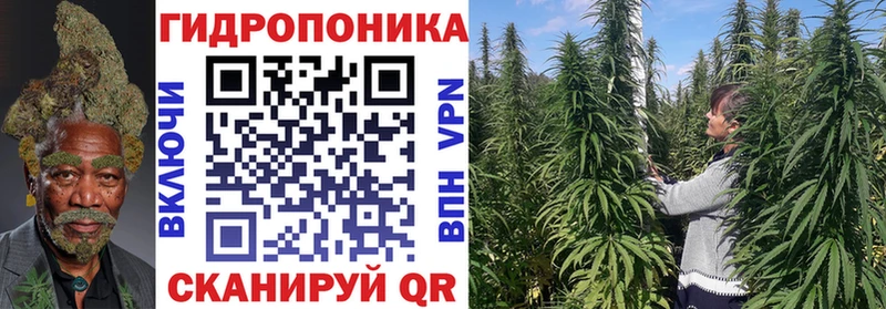 где продают   Кудрово  Марихуана AK-47 